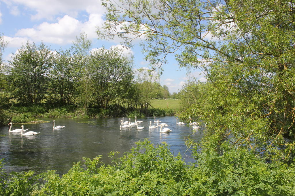 The Swan At Stoford Hotel Stapleford  Exterior photo